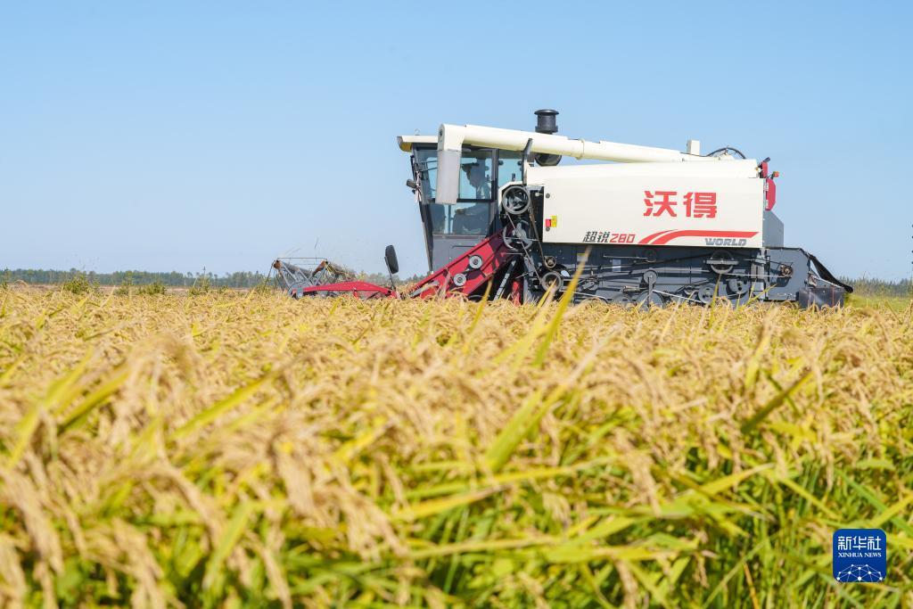 威尼斯欢乐娱人城官网3328